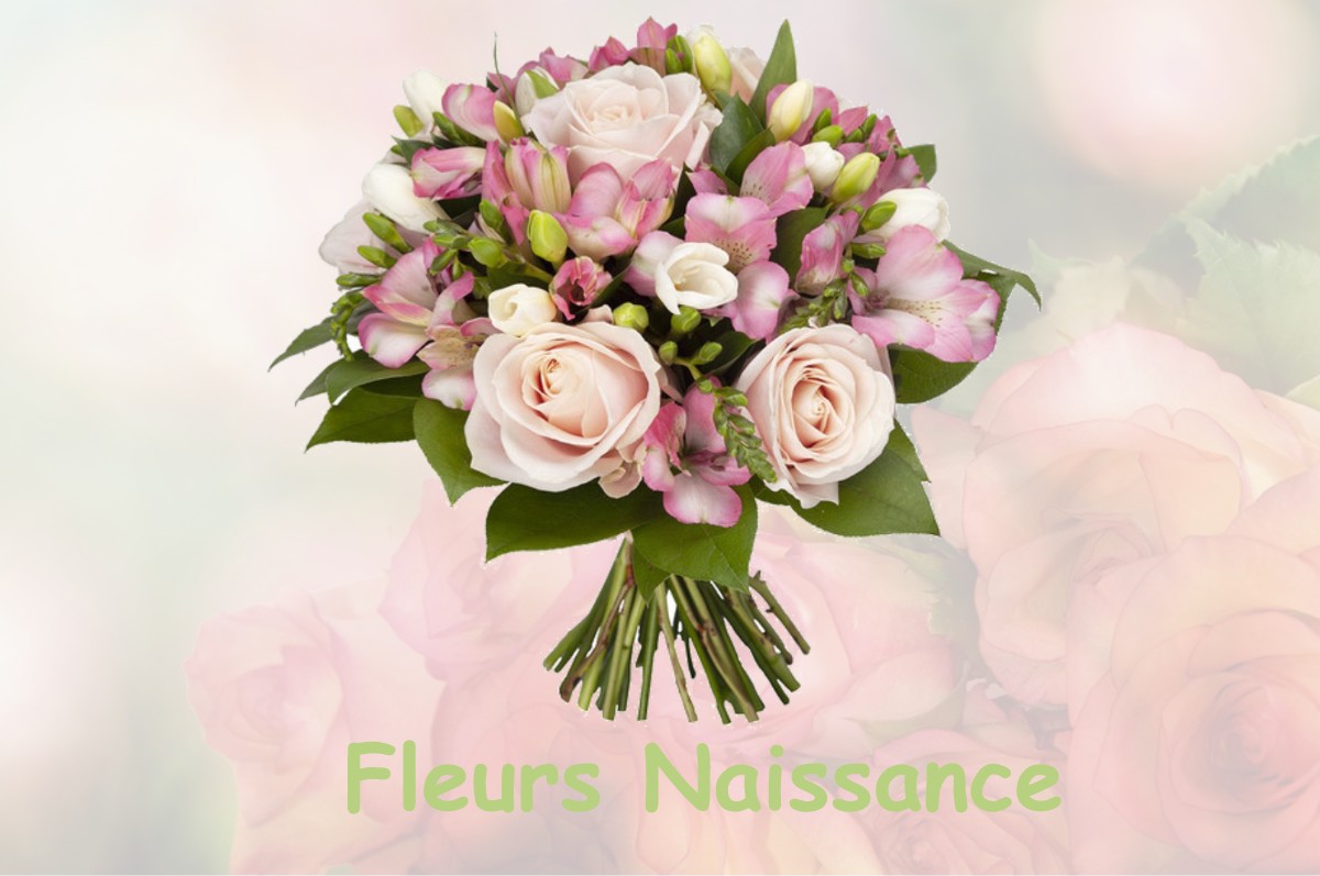 fleurs naissance TOUILLE