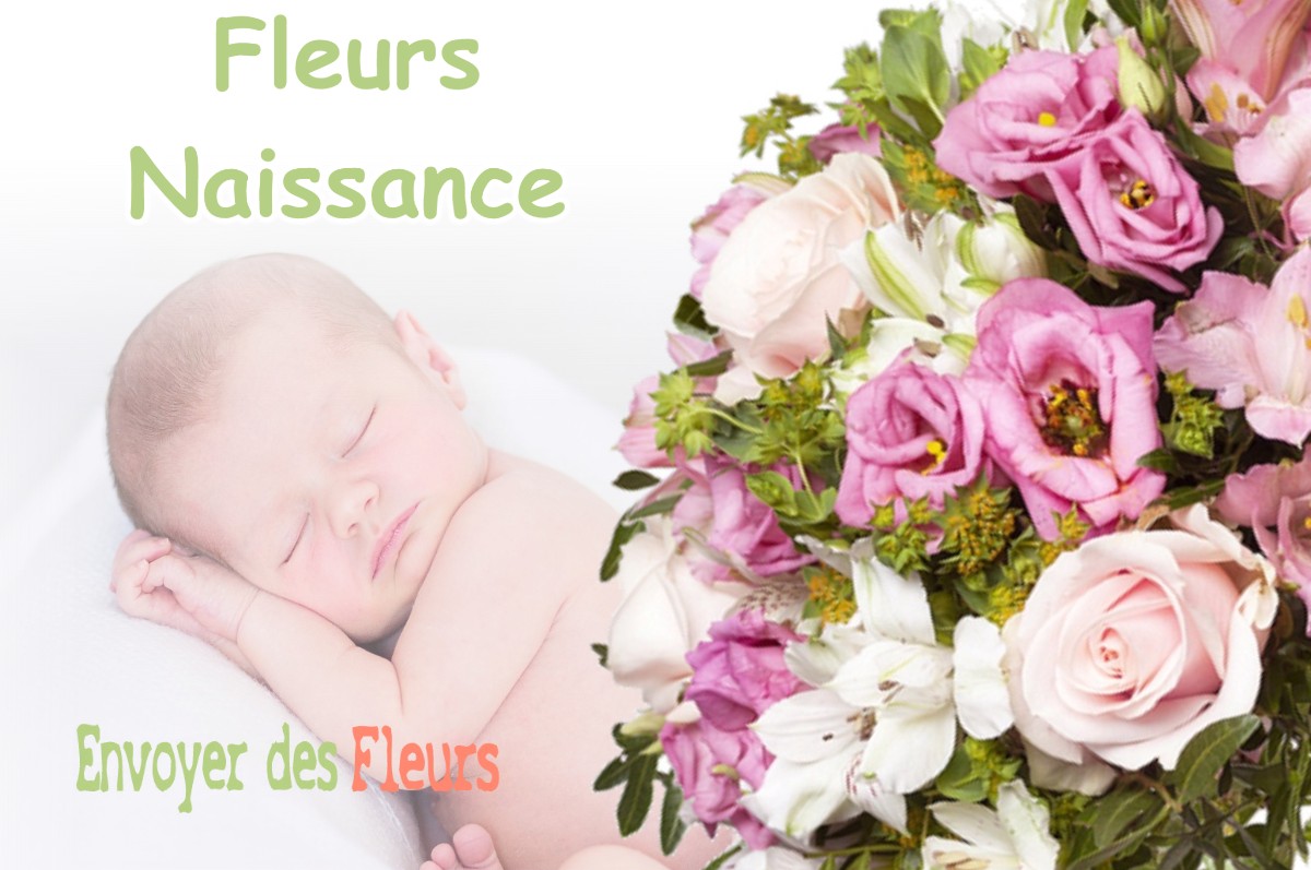 lIVRAISON FLEURS NAISSANCE à TOUILLE